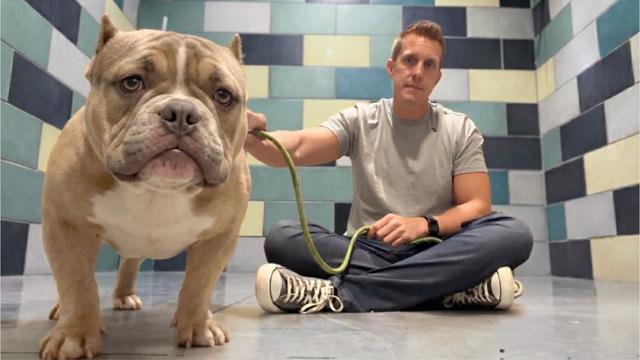 These animals are just way too cute