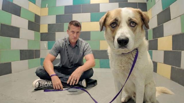 Watch this Dogs Reaction when Man Sings AMAZING GRACE 