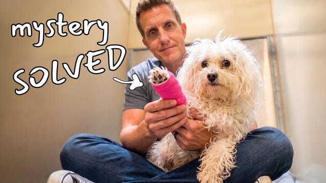 Here’s what happened to Princess