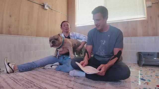 Does Bolty get to Keep his Paw ! (LIVE