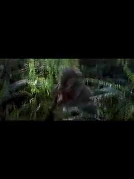 Size Matters in Star Wars #StarWars #yoda #georgelucas #cinematography #directing #filmtok