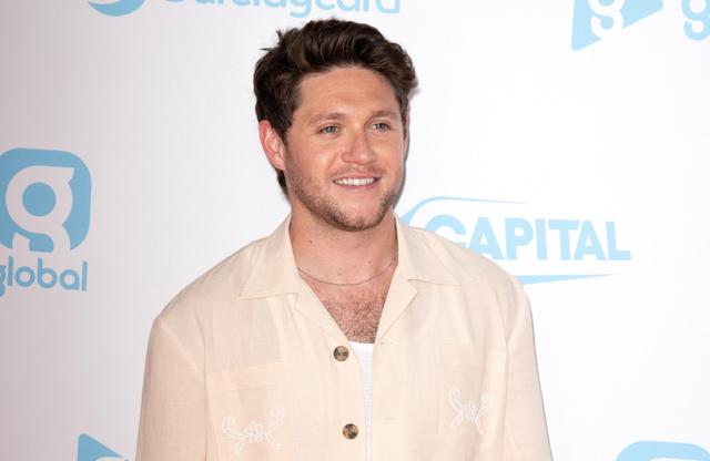 Niall Horan is glad his final memory of Liam Payne is a 'happy' one