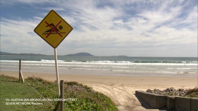 V napadu morskega psa umrla mlajša ženska, moški je v kritičnem stanju