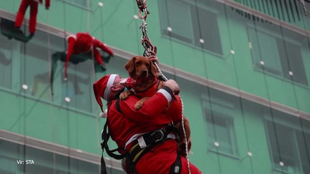 Pogumni Božički s strehe prinesli upanje in veselje v bolniške sobe