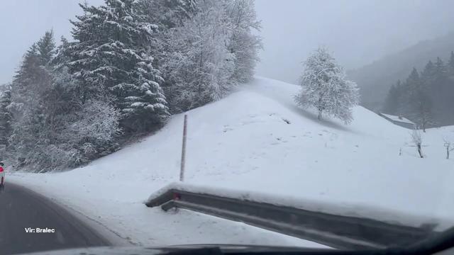 Prebivalci Slovenije presrečni: 