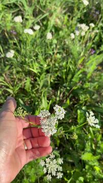 31-letni Luka živi in dela v hiški sredi gozda: To je bila moja zavestna izbira #foto