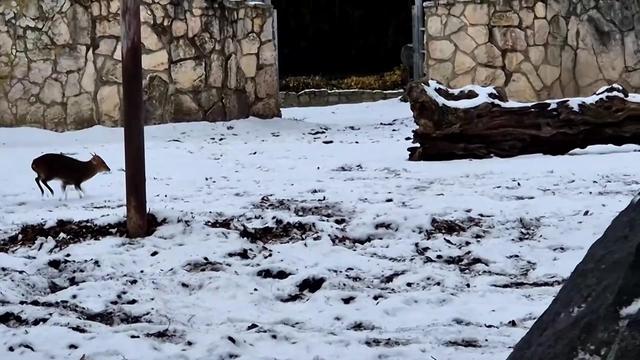 Velikost ni pomembna: pokazal je, kdo je glavni