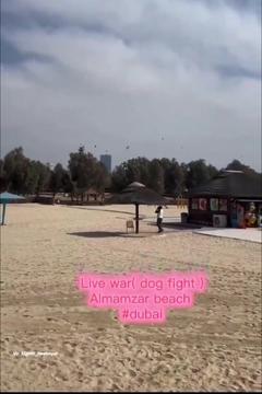 Plaža v Dubaju: lovsko letalo F-16 nad kopalci sestrelilo iranski dron