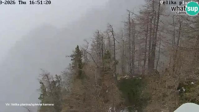 Na Gorenjskem zapirajo šole in vrtce. Več tisoč ljudi brez elektrike. #vŽivo