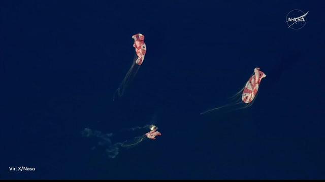 Po zgodovinskem podvigu: astronavti misije Artemis 2 so doma!