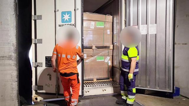 Priče inšpekcijskemu nadzoru piščančjega mesa iz Brazilije: kaj je bilo v paketu?