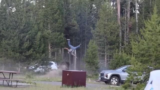 Šokanten napad v Yellowstonu: ogromen bizon napadel turista
