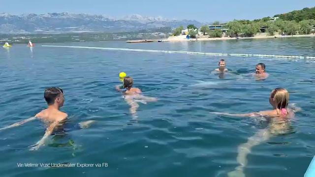 Hrvaška: Delfin Oliver se igra z otroki, prizori obnoreli splet