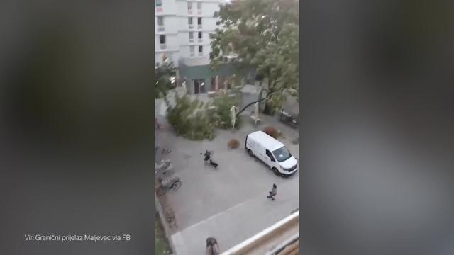 Brutalen posnetek iz Ljubljane: kolesar se je za las izognil padajočemu drevesu