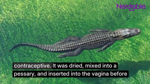 6 Weird Things People Used Before Modern Medicine