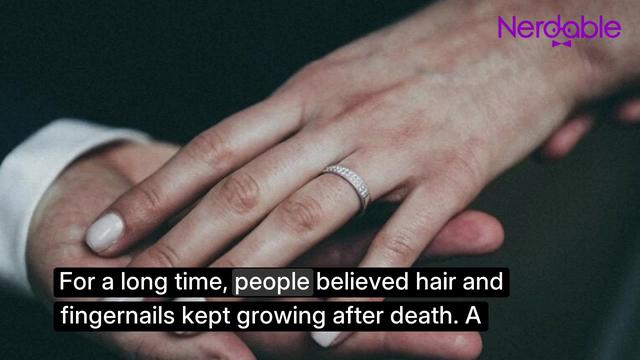 6 Weird Beliefs About the Human Body