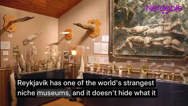 5 Strange Museum Exhibits Around the World That Are Real