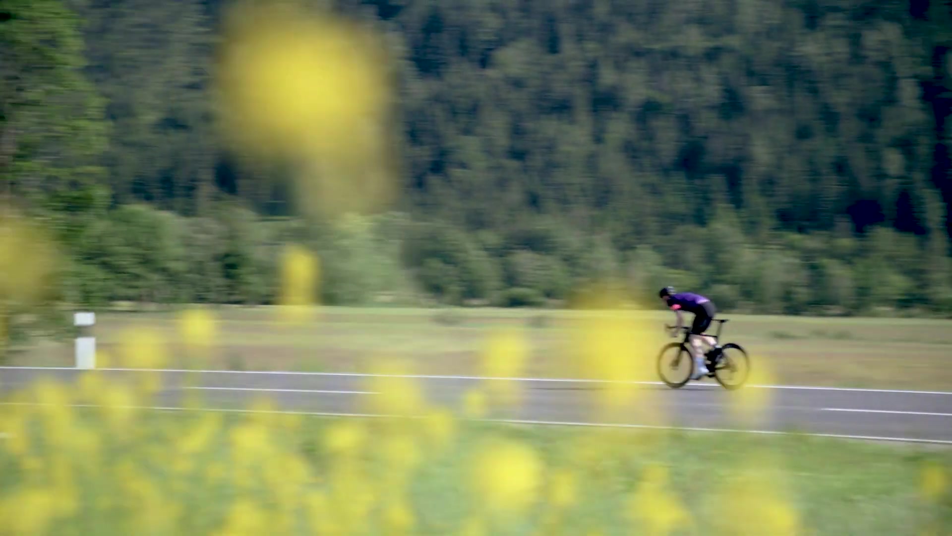 Bestes Rennrad der Welt? Neues Canyon Aeroad im TOUR-Test