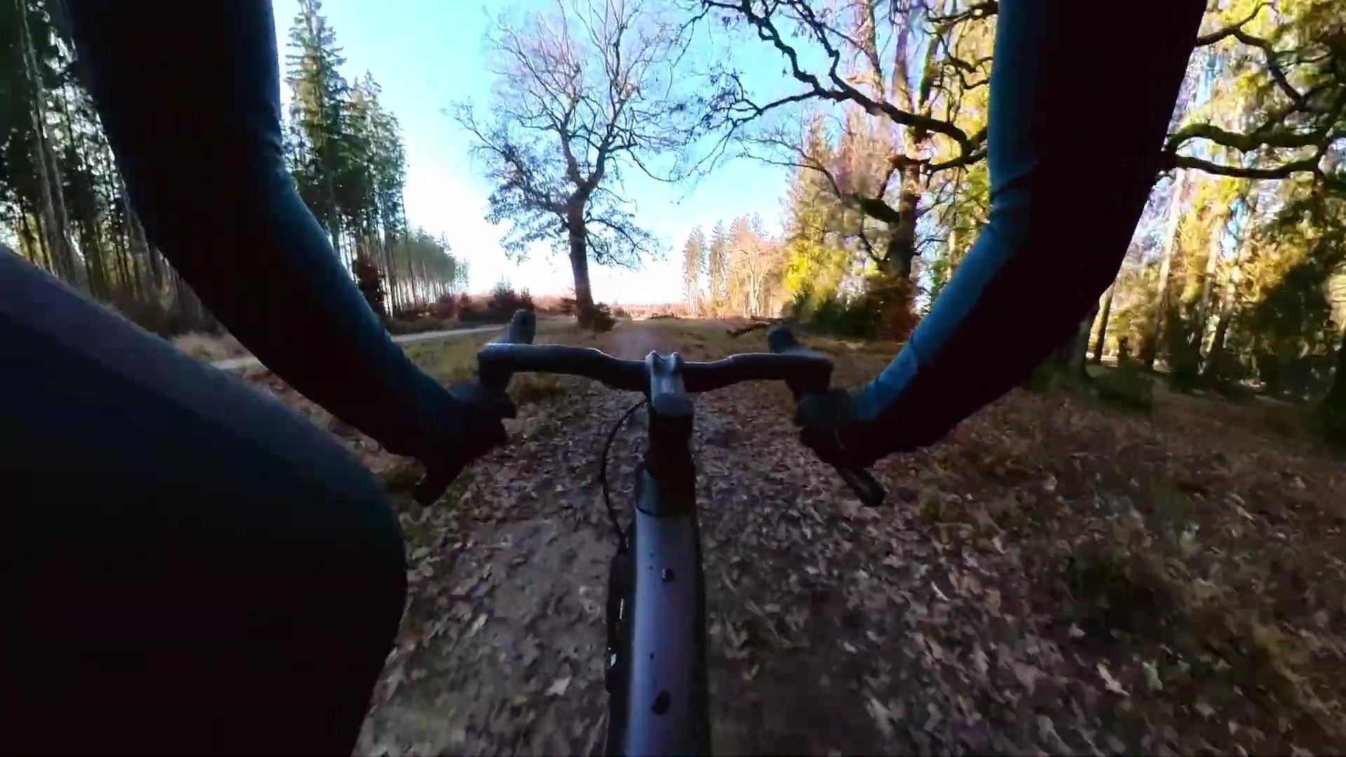 Das neue Specialized Diverge im Test: Dieses Gravelbike ist geländegängiger denn je!