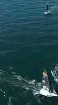 #kielerwoche Tag 4 - 49er in Action! #sailing #regatta
