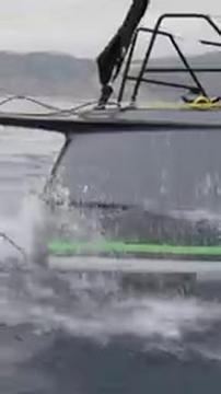 #shorts #sailing #shogun #racer #carbon  #sailingyacht