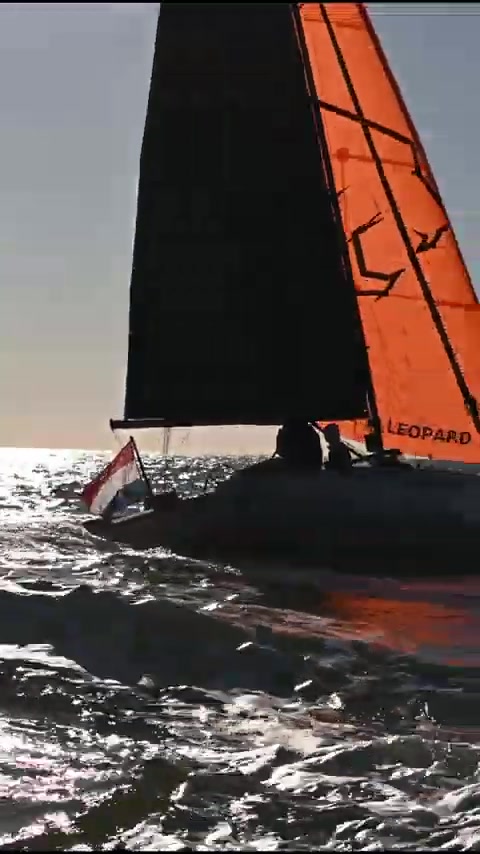 Raubkatze auf der Nordsee! Saffier SE 28 Leopard #sailing #sailboat