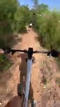 Nino Schurter gilt als der erfolgreichste Mountainbiker aller Zeiten 