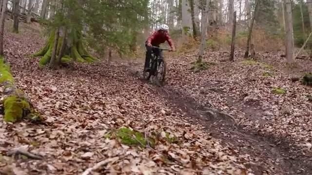 Schwalbe Romy MTB-Reifen im Test: Neuer Allround-Reifen mit Radial-Karkasse