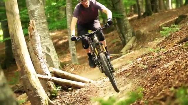 Pivot Shuttle SL/AM Review: Ist weniger mehr? Bosch SX für maximalen Fahrspaß am Pivot Light-E-MTB!
