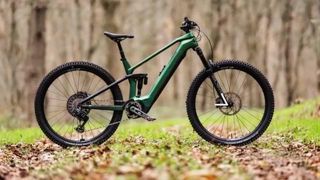 Conway Xyron ST 10.0 im Test: Sportlicher Alleskönner mit Bosch Performance CX