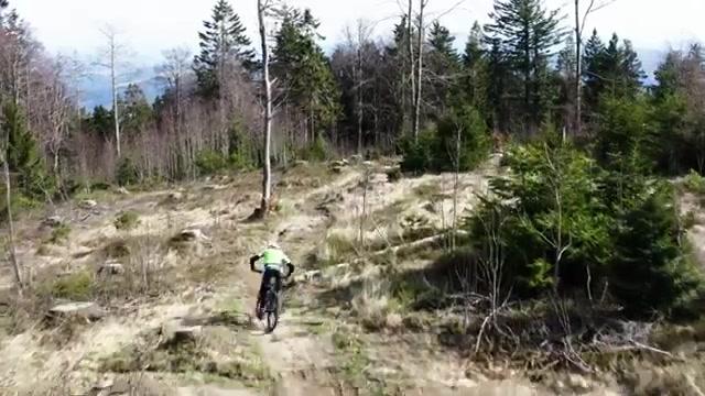 Das brandneue Cannondale Scalpel 2024 im BIKE-Test