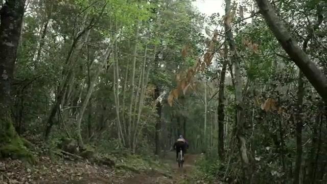 Canyon Strive:On CFR vs. Canyon Torque:On CF