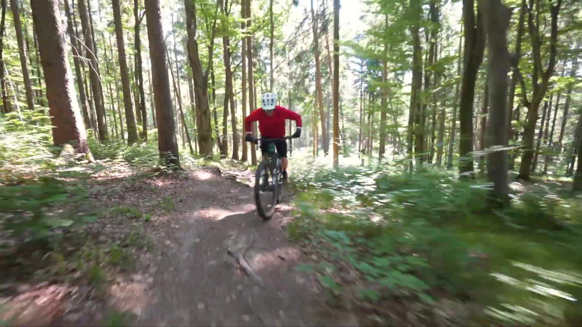 Radon Slide Trail 9.0: BIKE-Testsieger All Mountains 2022