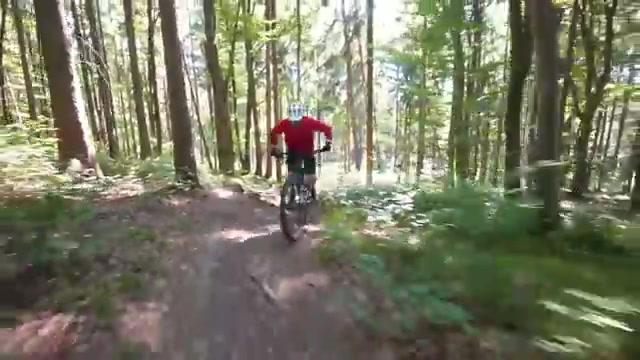 Radon Slide Trail 9.0: BIKE-Testsieger All Mountains 2022