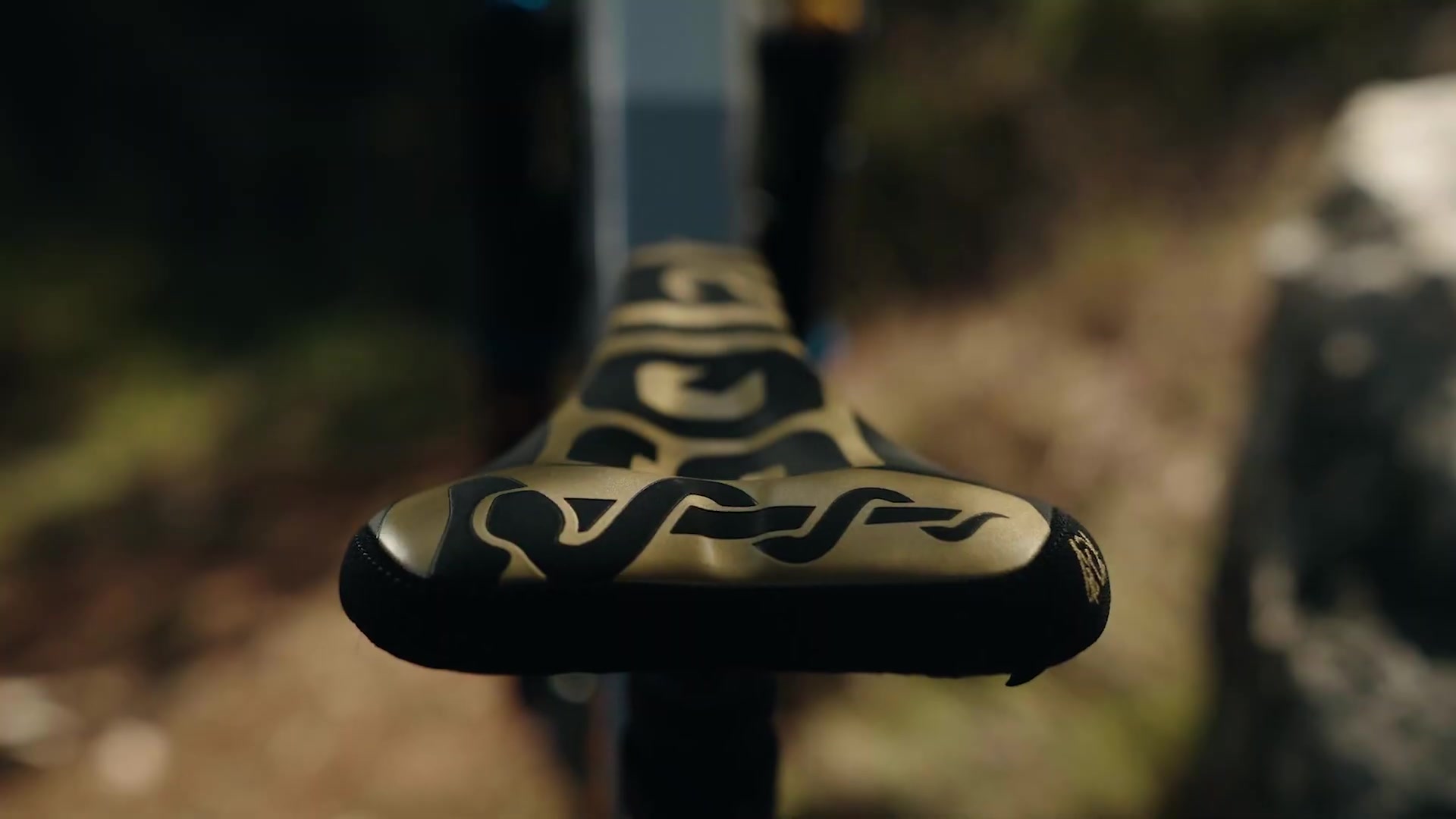Bike-Check Fabio Wibmer - Canyon Torque CF Mullet