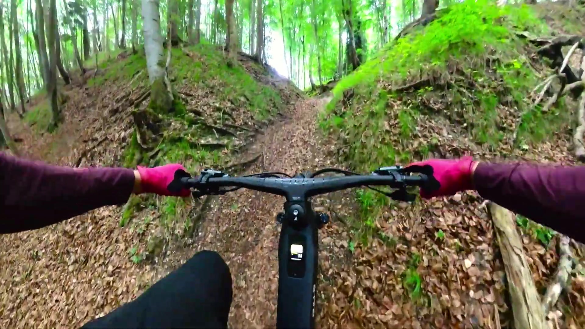 Bulls Vuca Evo AM mit Pinion MGU: Getriebe E-Bike als Sorglos-Tourer