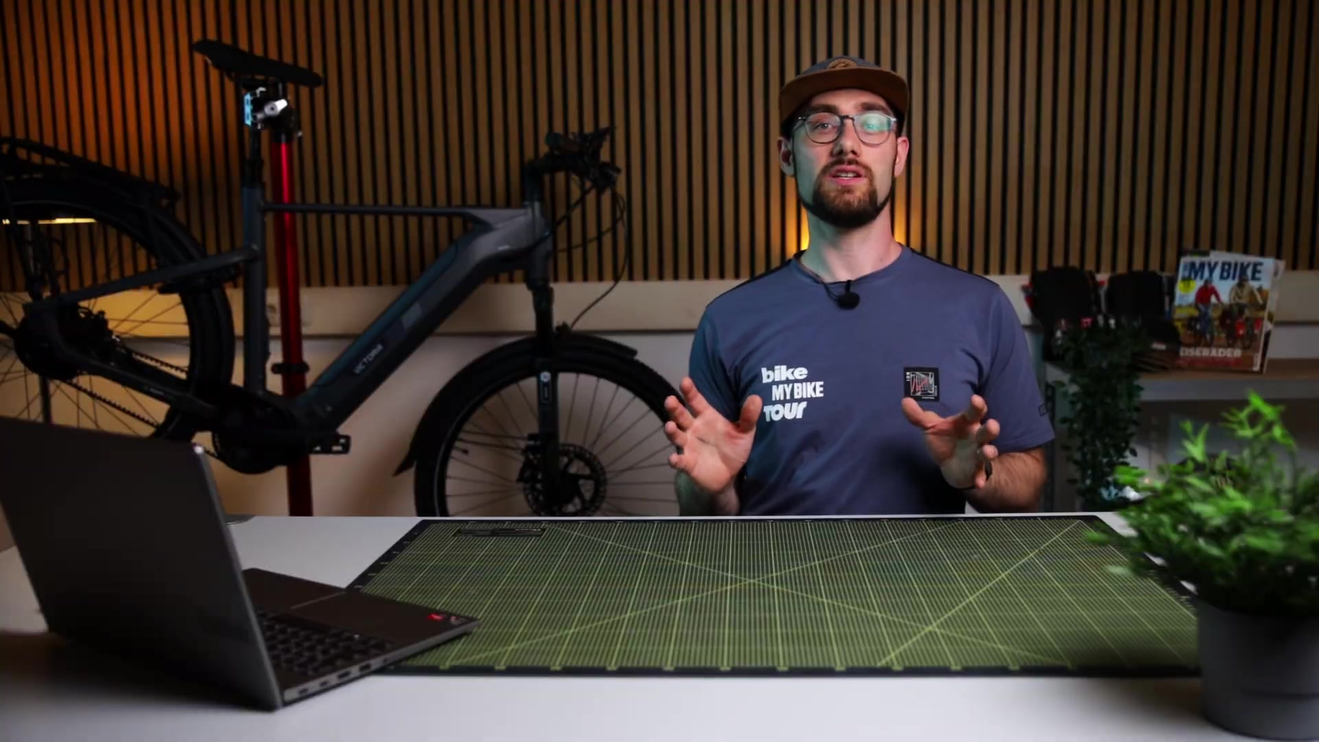 Victoria Avyon 11 mit Bosch CX und Nabenschaltung: Das Stressfrei-E-Bike im Check