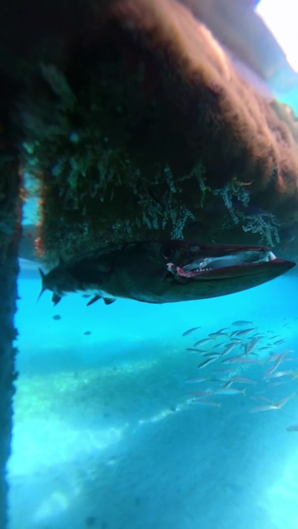 Insta360 Unterwasser