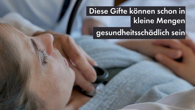 Video abspielen